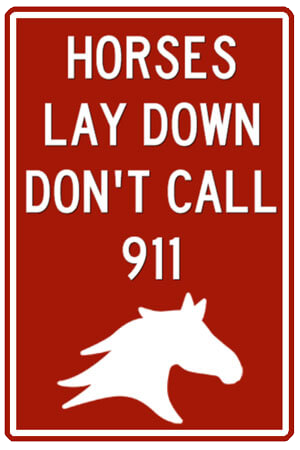 Pet Plaque: Horses lay down, don't call 911