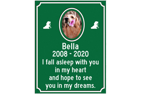 Pet Memorial | Bella | 2008 - 2020 | I fall asleep with you in my heart and hope to see you in my dreams.