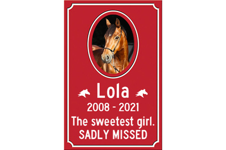 Pet Memorial | Lola | 2008 - 2021 | The sweetest girl. Sadly missed.