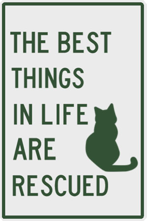 Pet Plaque: The best things in life are rescued