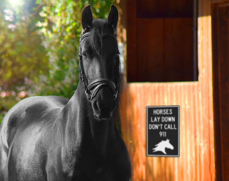 Pet plaque on the stable's wall.